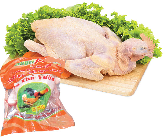 Gà thảo dưỡng Vietgap(size 1.4-1.6kg) - [Giao Ngay Tại HCM]