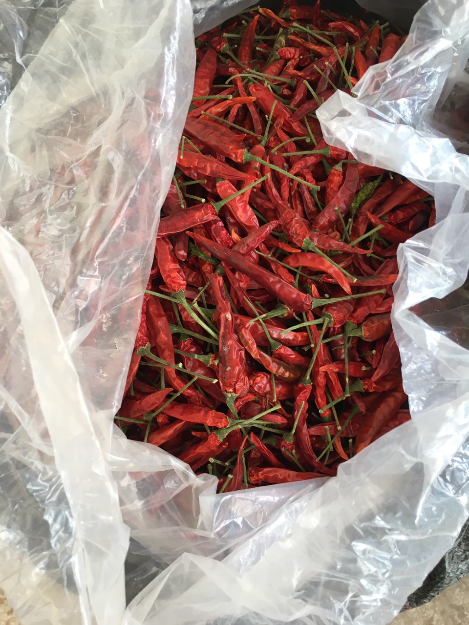 ớt quả có cuống vụ mới 100g