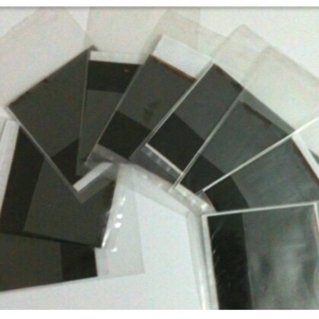 1 Lá Cao Chè Vằng Sẻ Quảng Trị Xịn