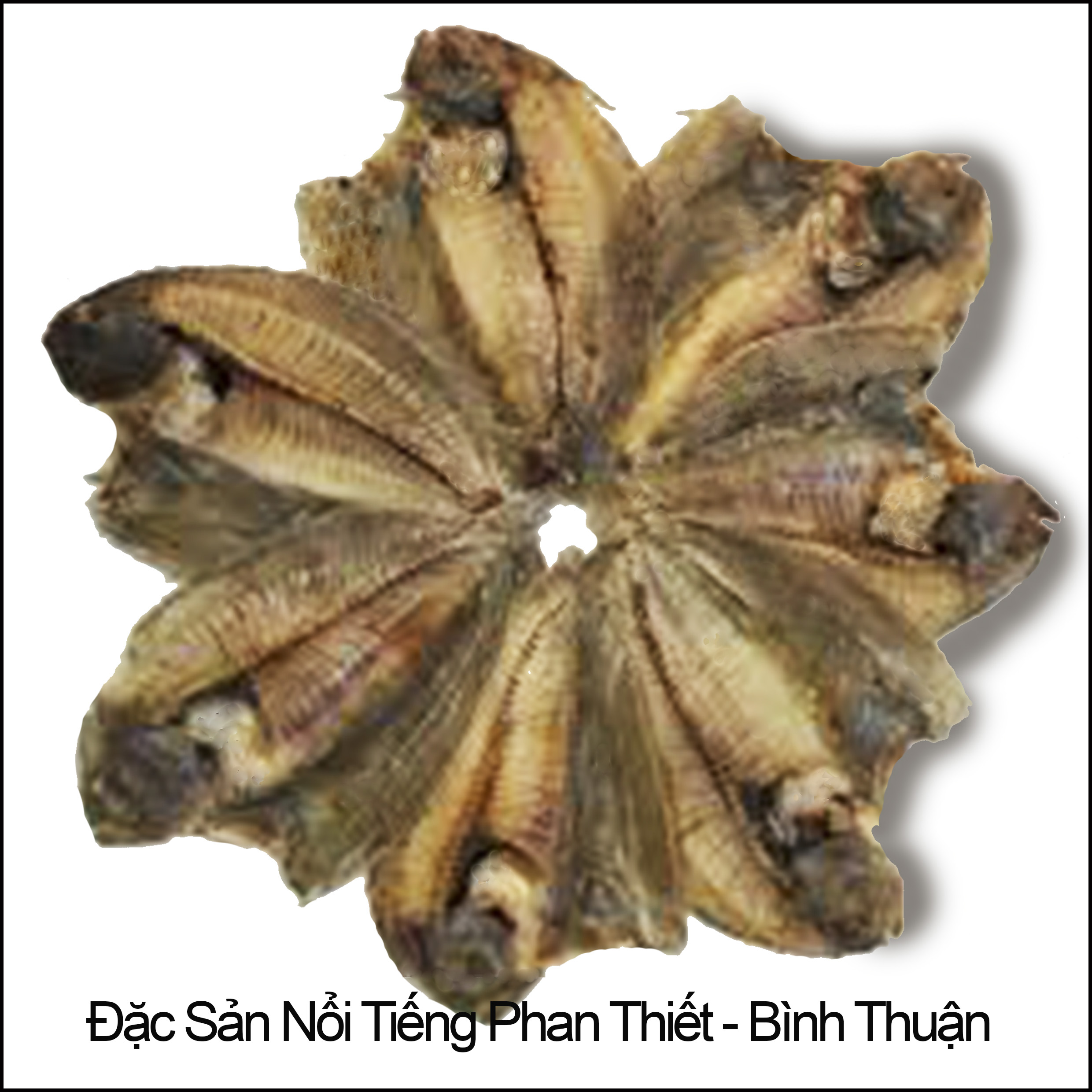 1KG Khô Cá Dảnh (Cá Ngộ) Loại Ngon Đặc Sản PHAN THIẾT-BÌNH THUẬN