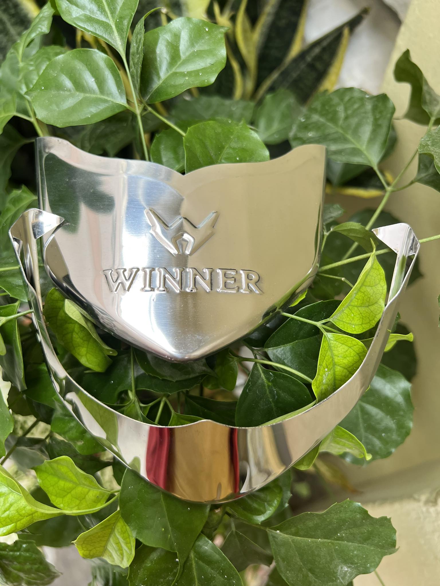 BỘ MỎ ĐUÔI DÈ XE WINNER X INOX