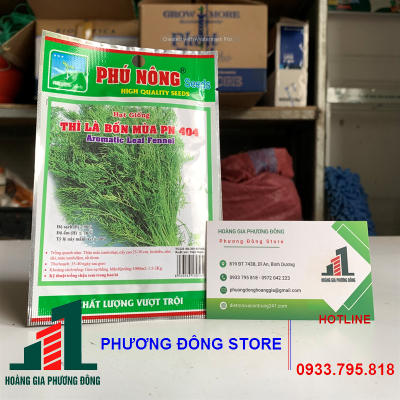 Hạt giống rau thì là - gói 5g