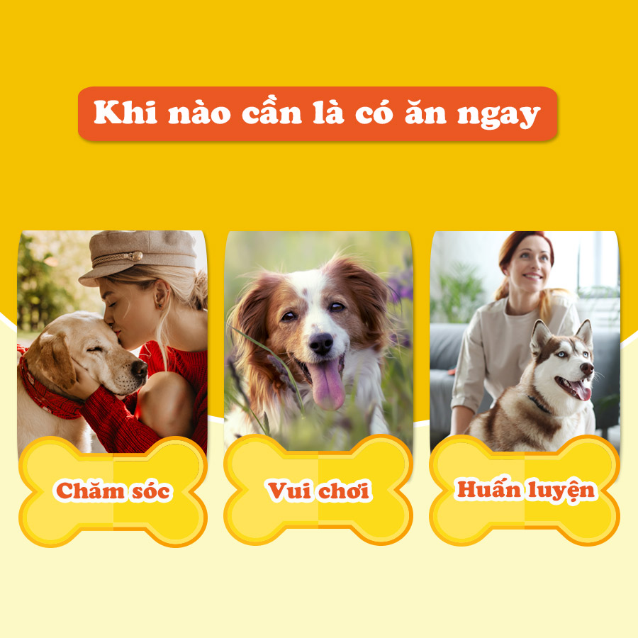 Bánh Quy Sữa Cho Chó Doggy Man
