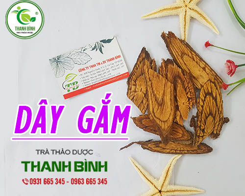 Dây Gắm Khô 1KG - Đông Y Thanh Bình
