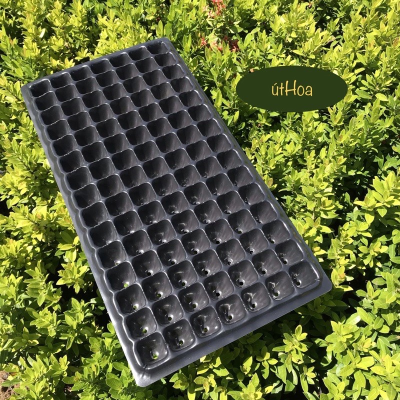 [GIÁ ƯU ĐÃI] Combo 5 khay ươm hạt 32/50/72/105/200 lỗ DÀY và CHẮC