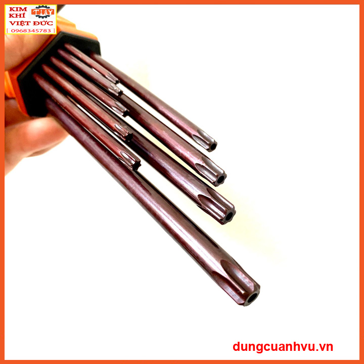 BỘ LỤC GIÁC HOA THỊ KAPUSI