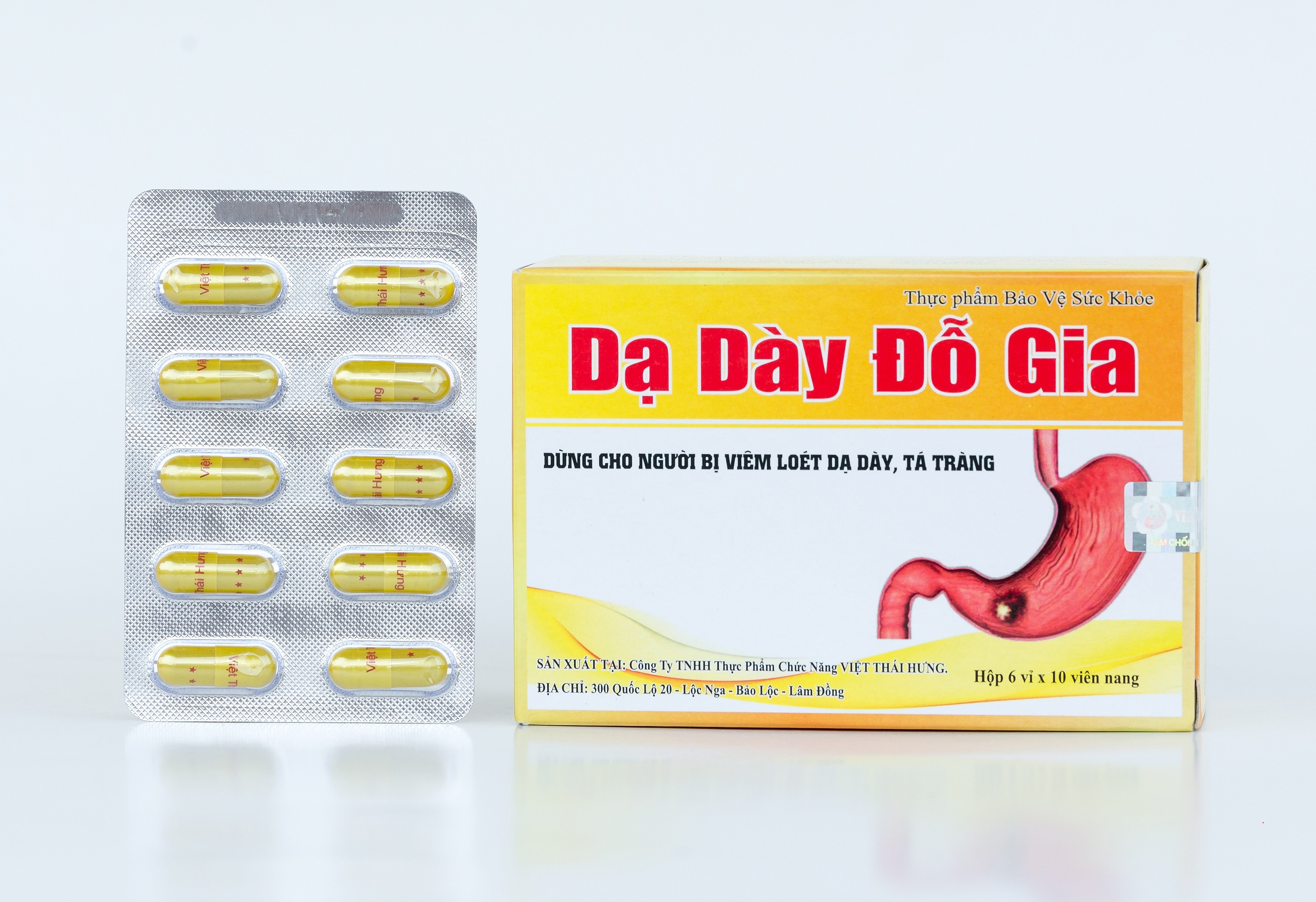 Dạ Dày Đỗ Gia