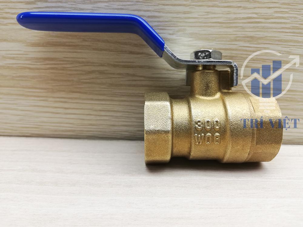 [HCM]Van Bi Thân Đồng Phi 21 ( SANO)