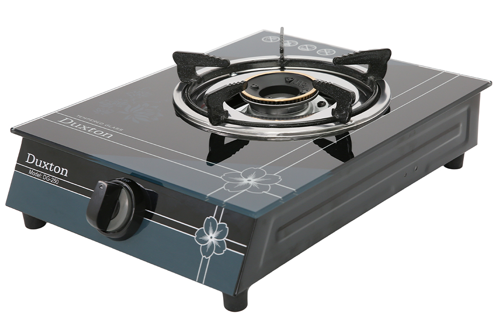 Duxton dg-250 single gas stove 99% display counter top gas saving copper tip