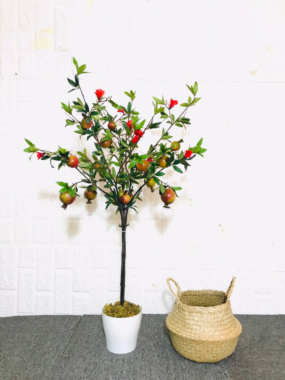 Cây lựu đỏ cao 100cm - hằng decor
