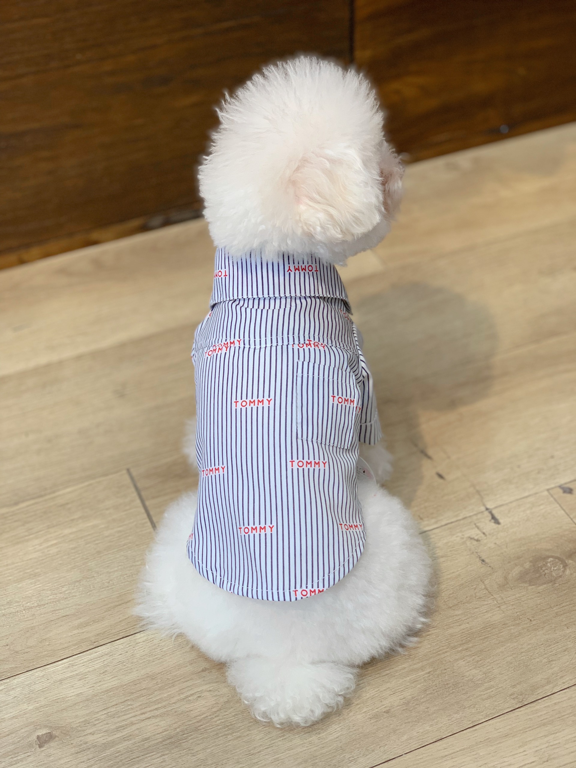 Sơ mi cho chó mèo thú cưng yudog