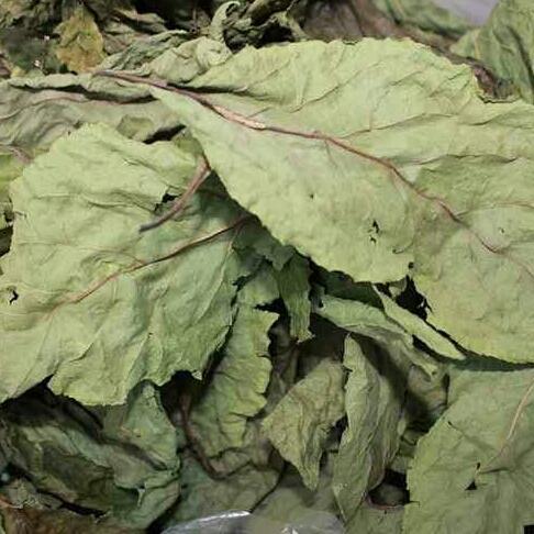 100g lá mật gấu