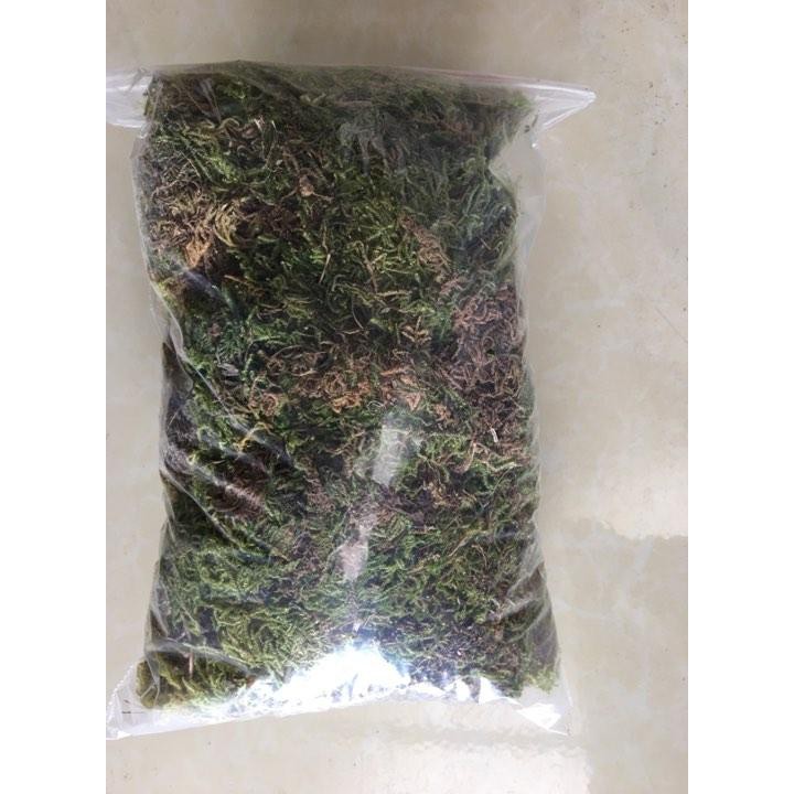 100gr-Rêu rừng trồng lan dùng sang chậu bẫy kẹp, trồng lan, trang trí