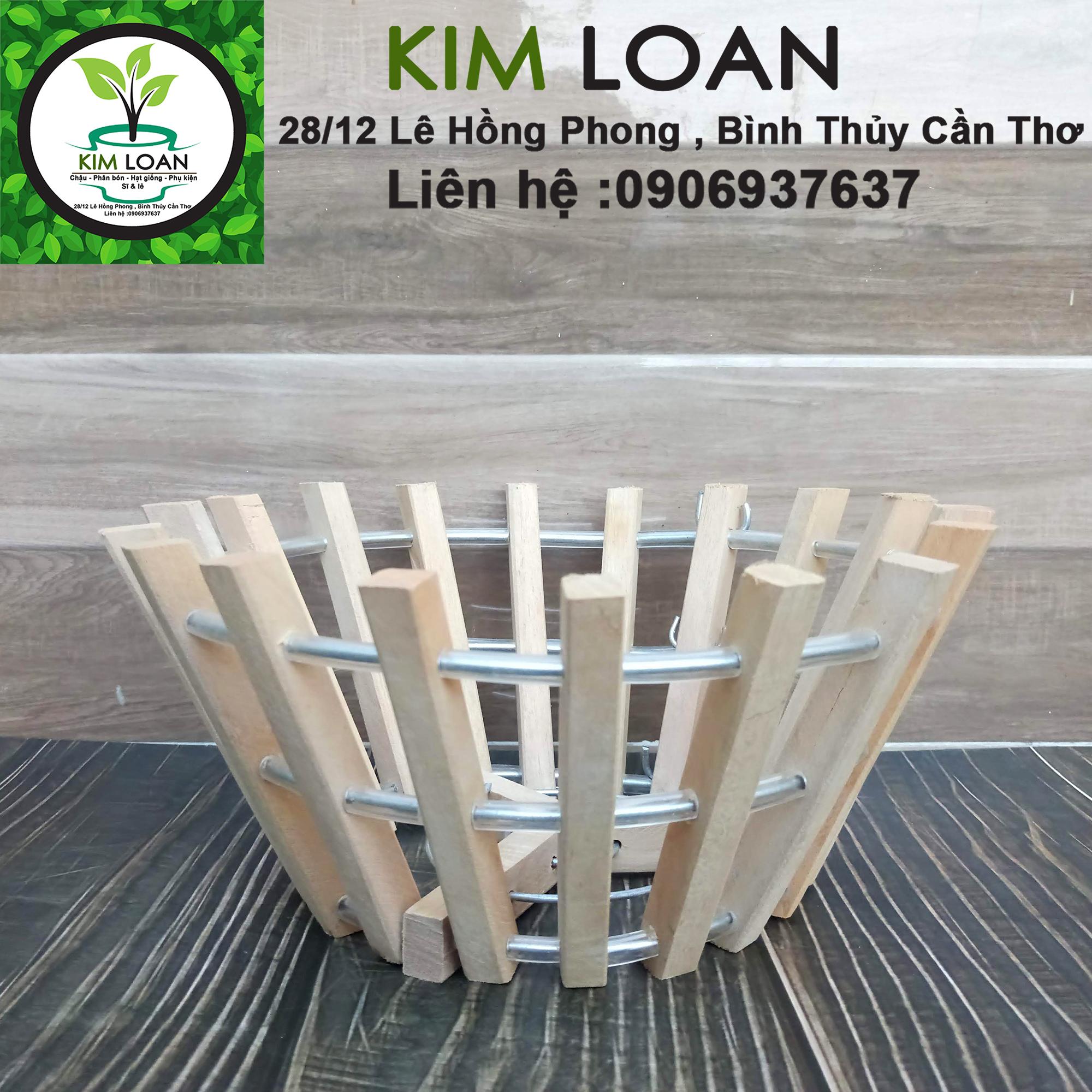 Chậu lan tròn gỗ căm xe 24x12cm
