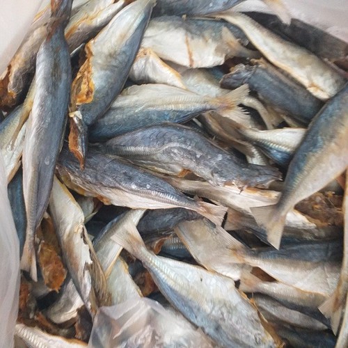 cá lục 500g