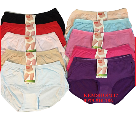 Combo 10 quần lót nữ cotton big size 45-75kg(ảnh thật)