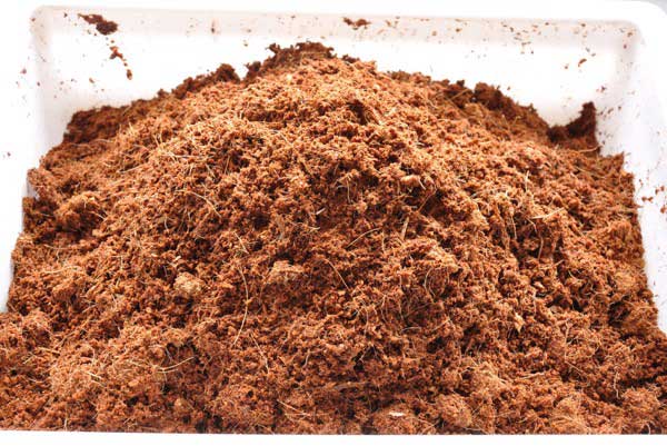 Giá thể xơ dừa 2Kg
