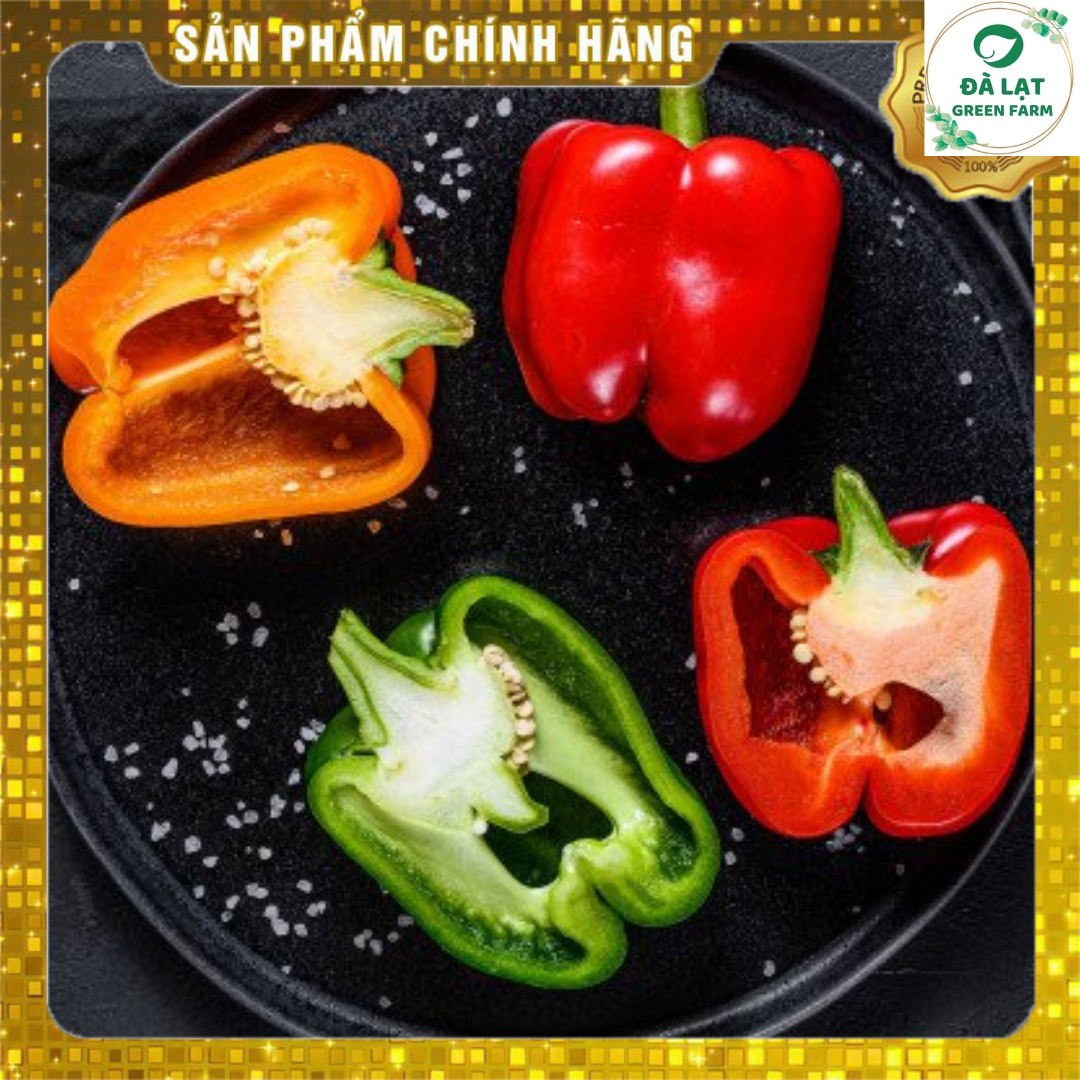 40H_HẠT GIỐNG ỚT CHUÔNG NHIỀU MÀU (NẢY MẦM CỰC CHUẨN)