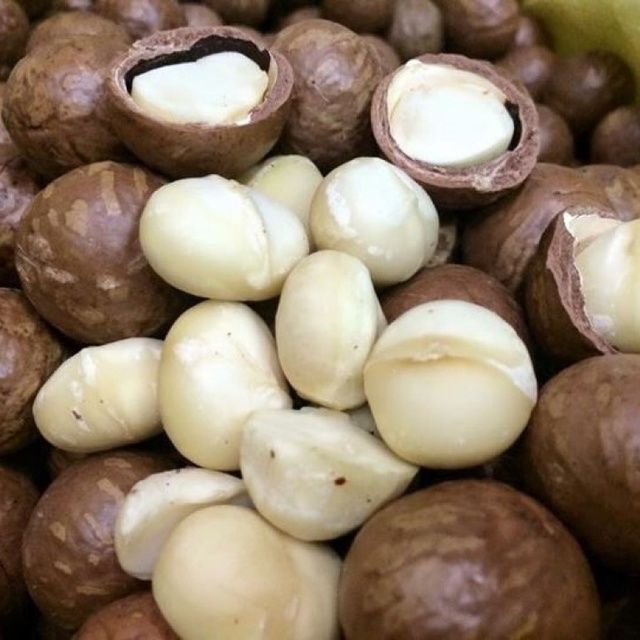 Hạt mắc ca