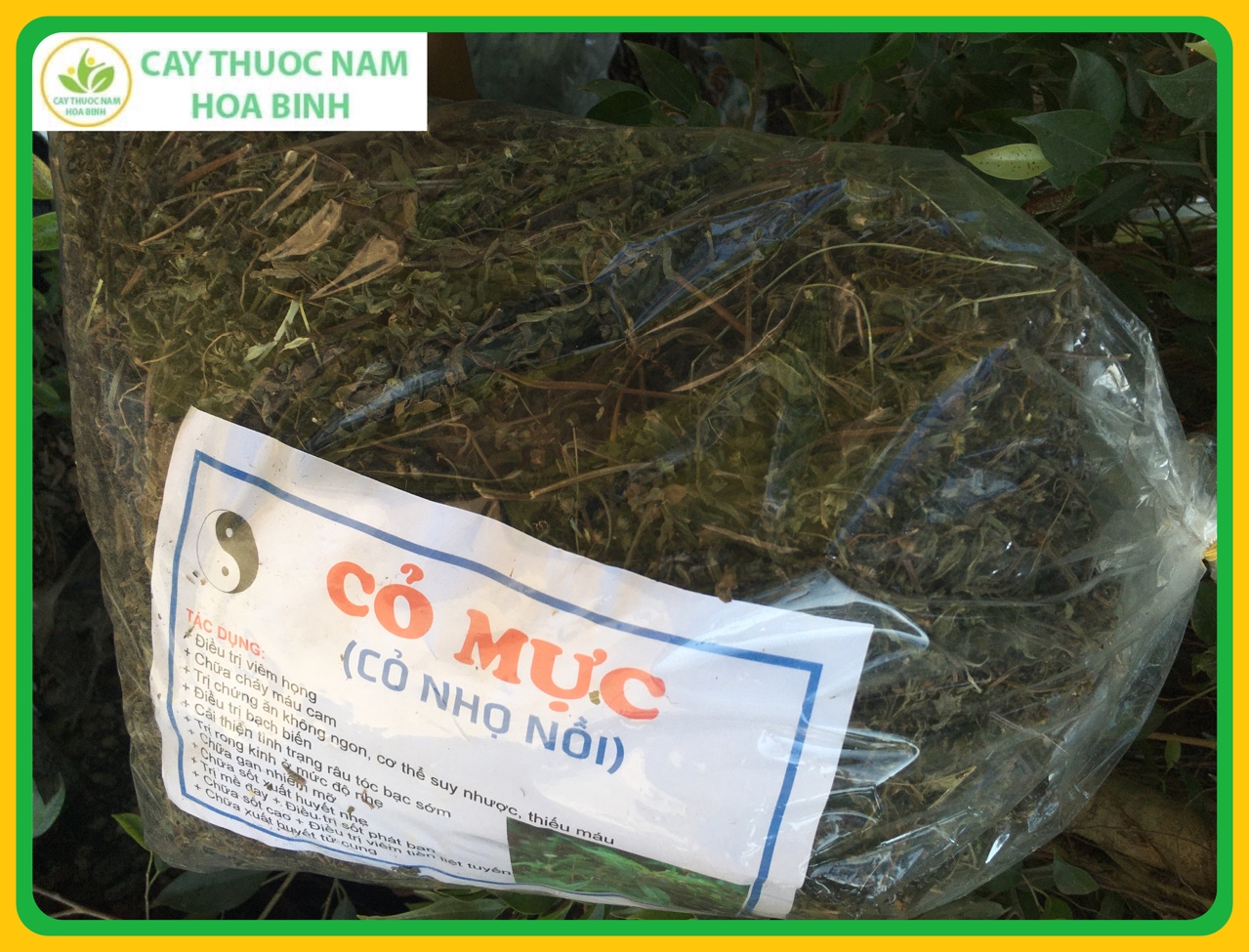 1kg cỏ mực nhọ nồi (cành lá khô, sạch, mới)