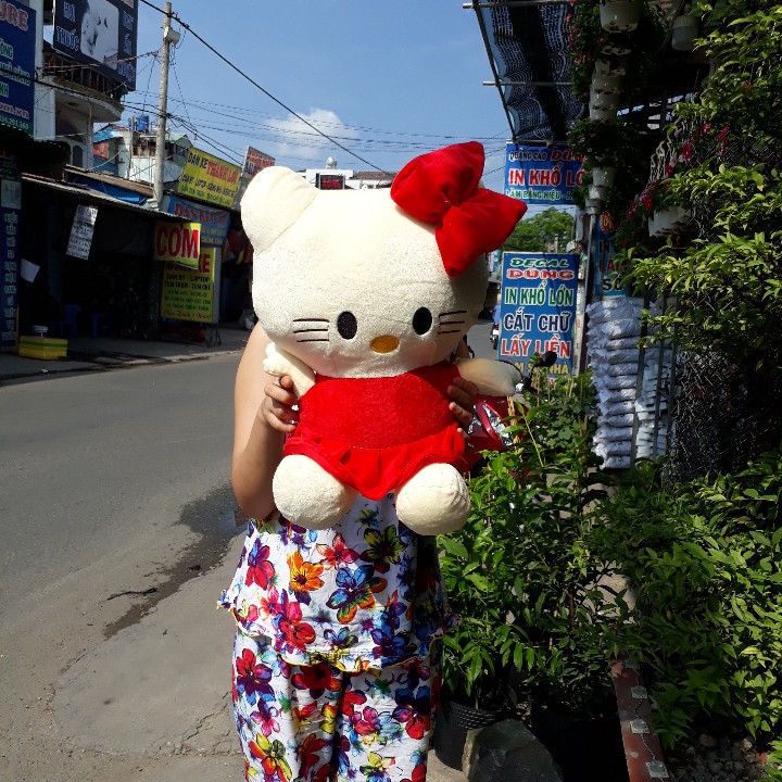 [HCM]MÈO KITTY NHỒI BÔNG 45CM