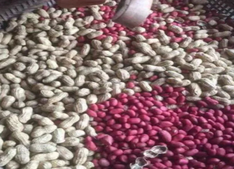 Đậu phộng đỏ ngon-Lạc đỏ chuẩn bắc