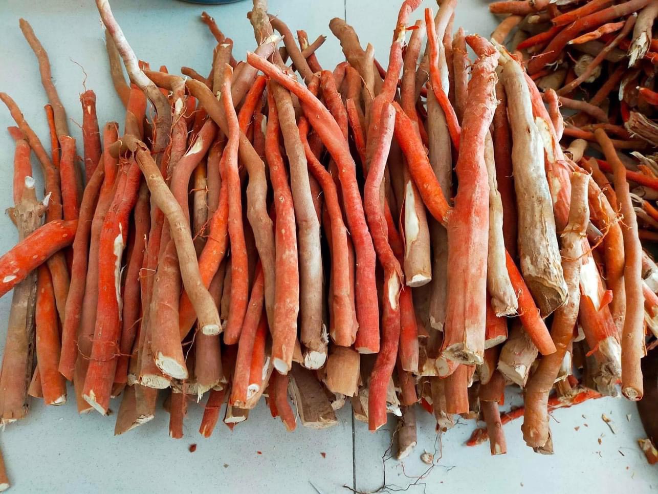 SÂM CAU ĐỎ 1kg tốt cho sức khỏe
