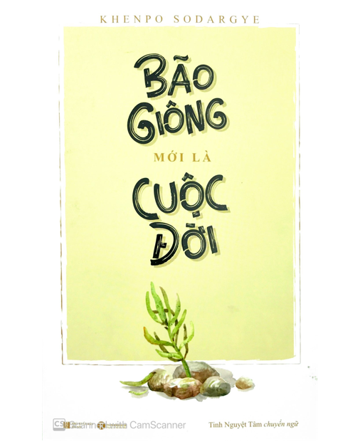 Bão Giông Mới Là Cuộc Đời