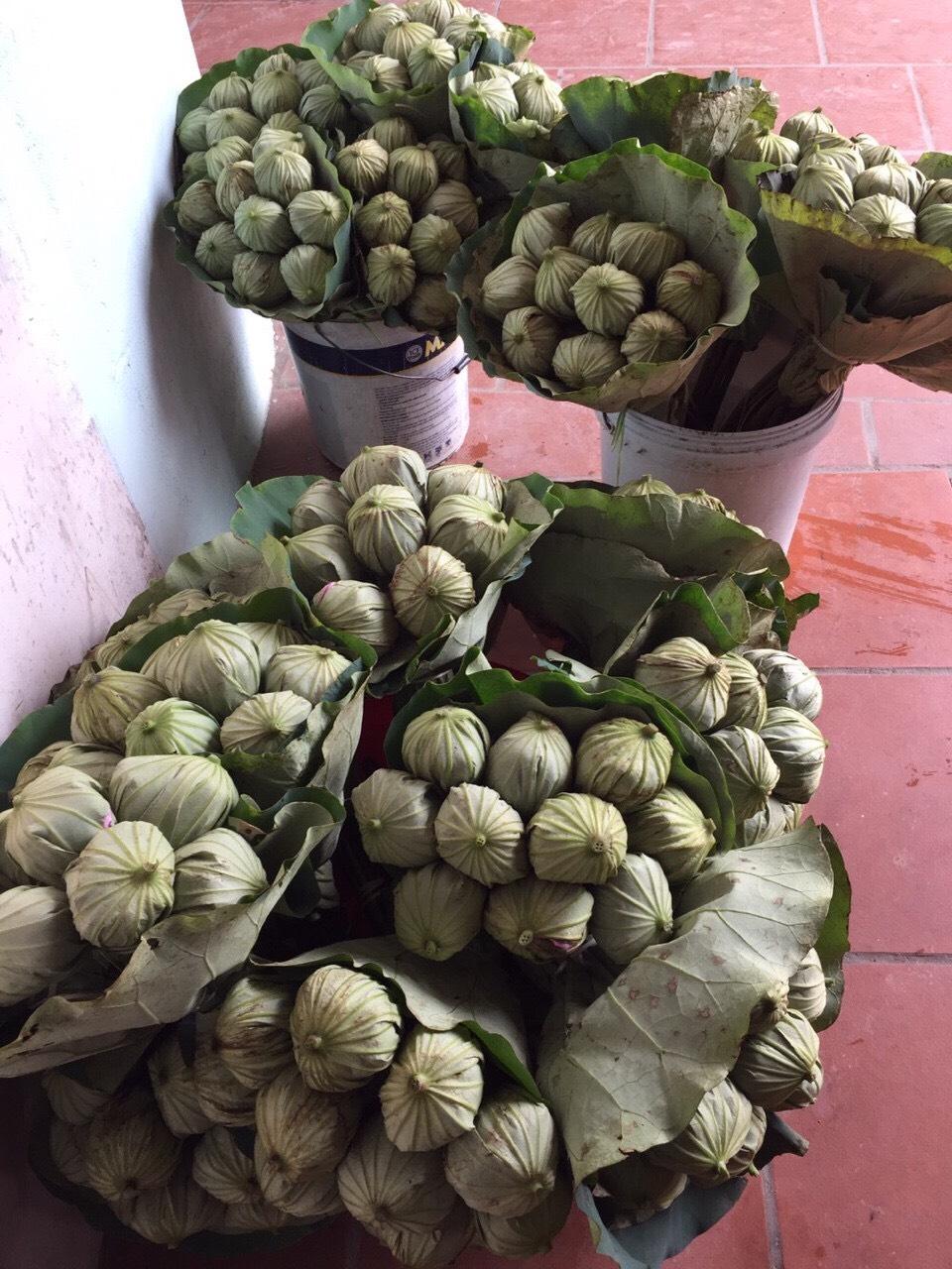 trà ướp bông hoa sen Hồ Tây đặc biệt
