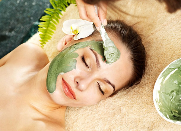 Bột diếp cá sấy lạnh