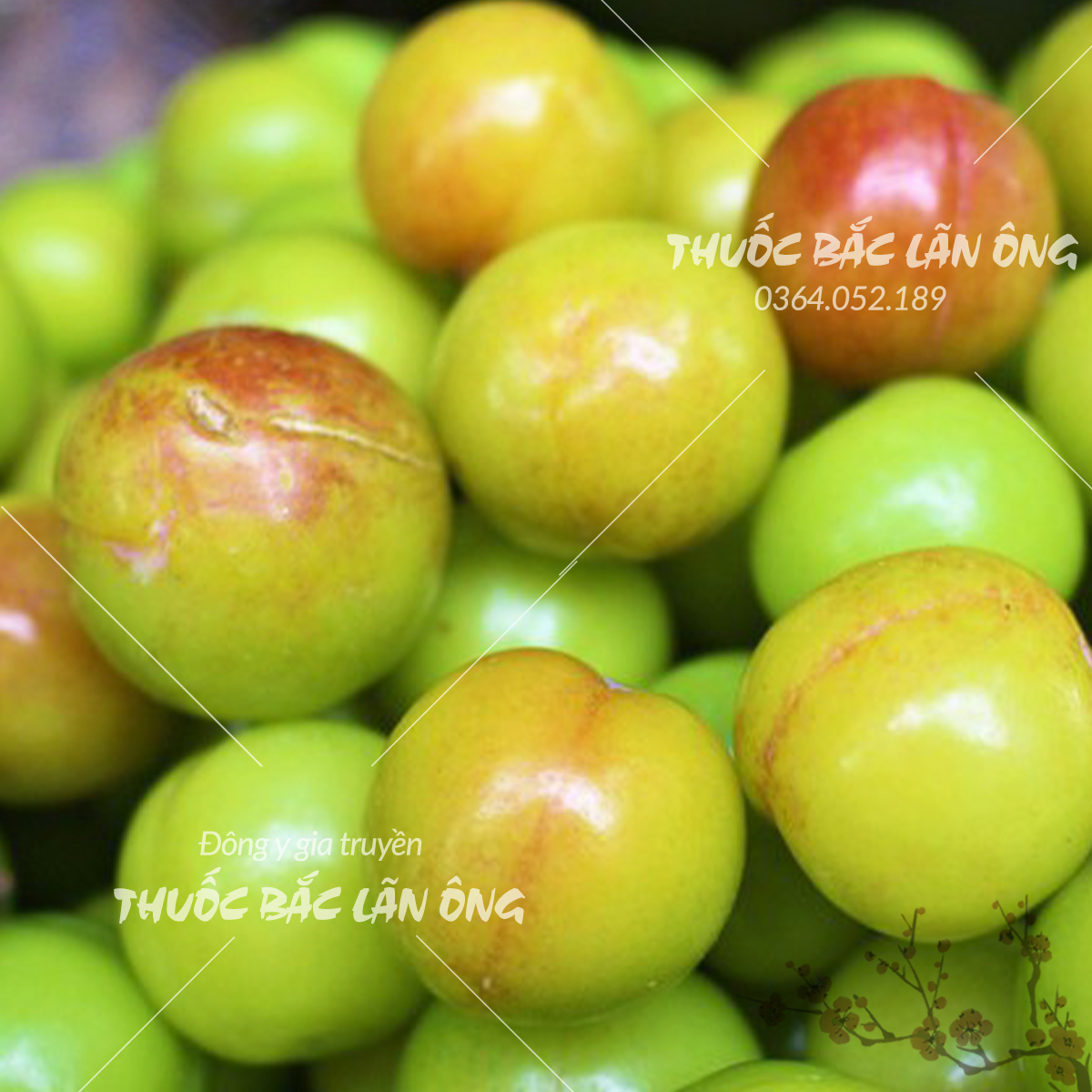 Ô mai mận cơm đặc sản Hà Nội (Vị chua chua, ngọt ngọt, dẻo thơm ngon)