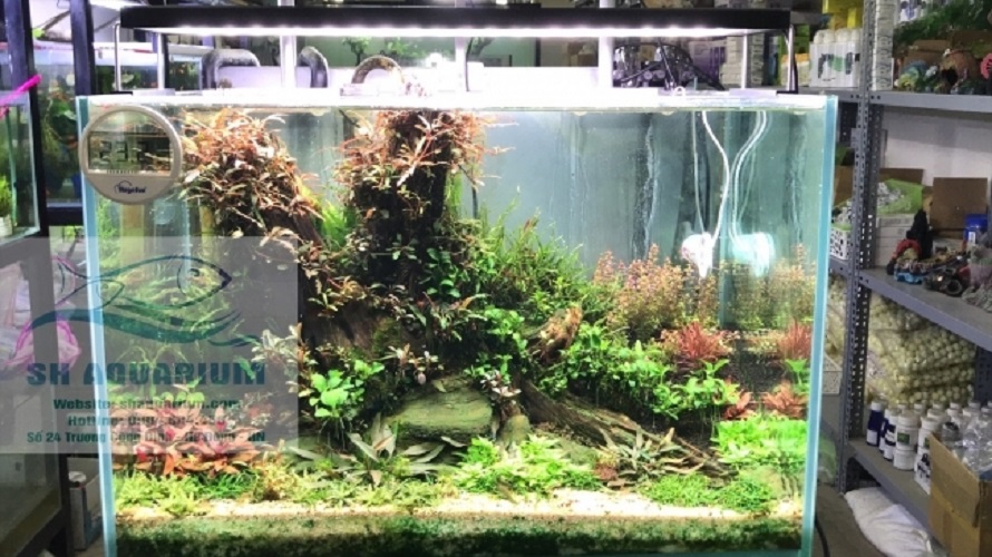 [HOÀN TIỀN 10%]ĐÈN CHIHIROS WRGB2 60CM