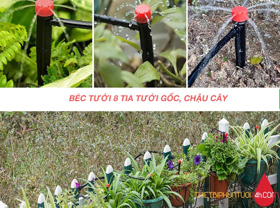 Combo 10 Cây cắm nhỏ giọt 8 tia