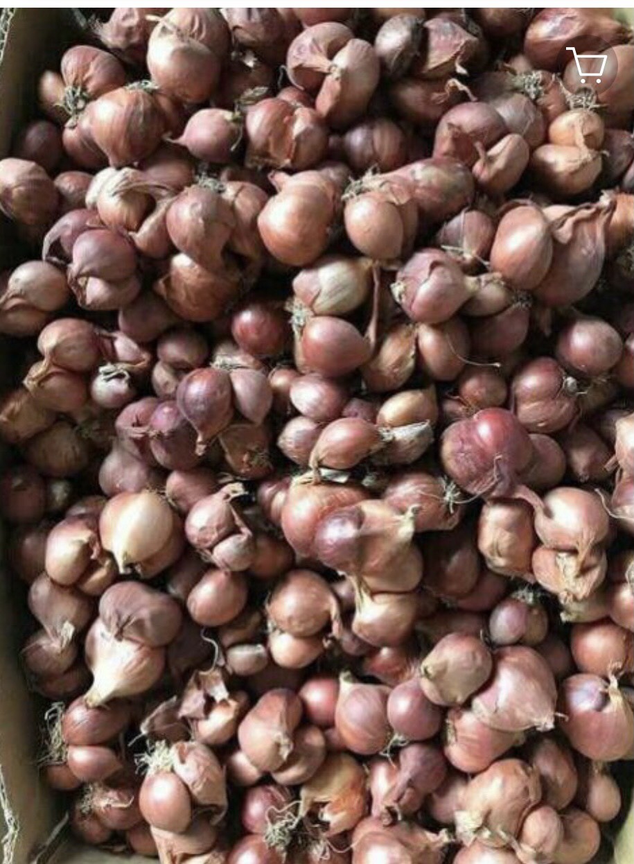 1KG HÀNH TÍM SẤY KHÔ THƠM NGON