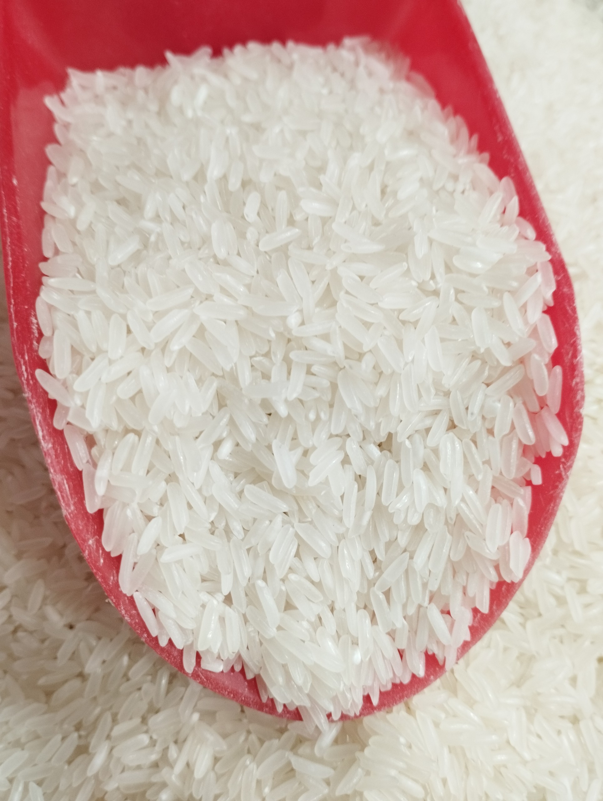 5KG Gạo Thơm Nhật - Gạo Thơm Dẻo - Gạo Mềm Ngon Cơm