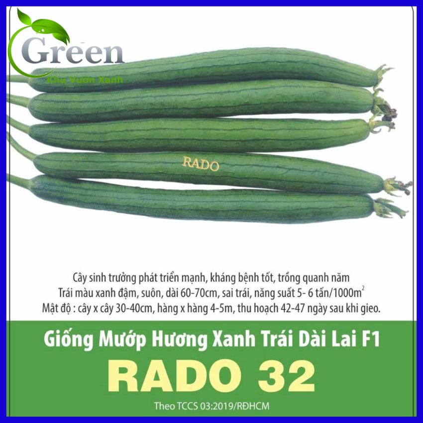 Hạt Giống Mướp Hương Xanh Trái Dài Lai F1