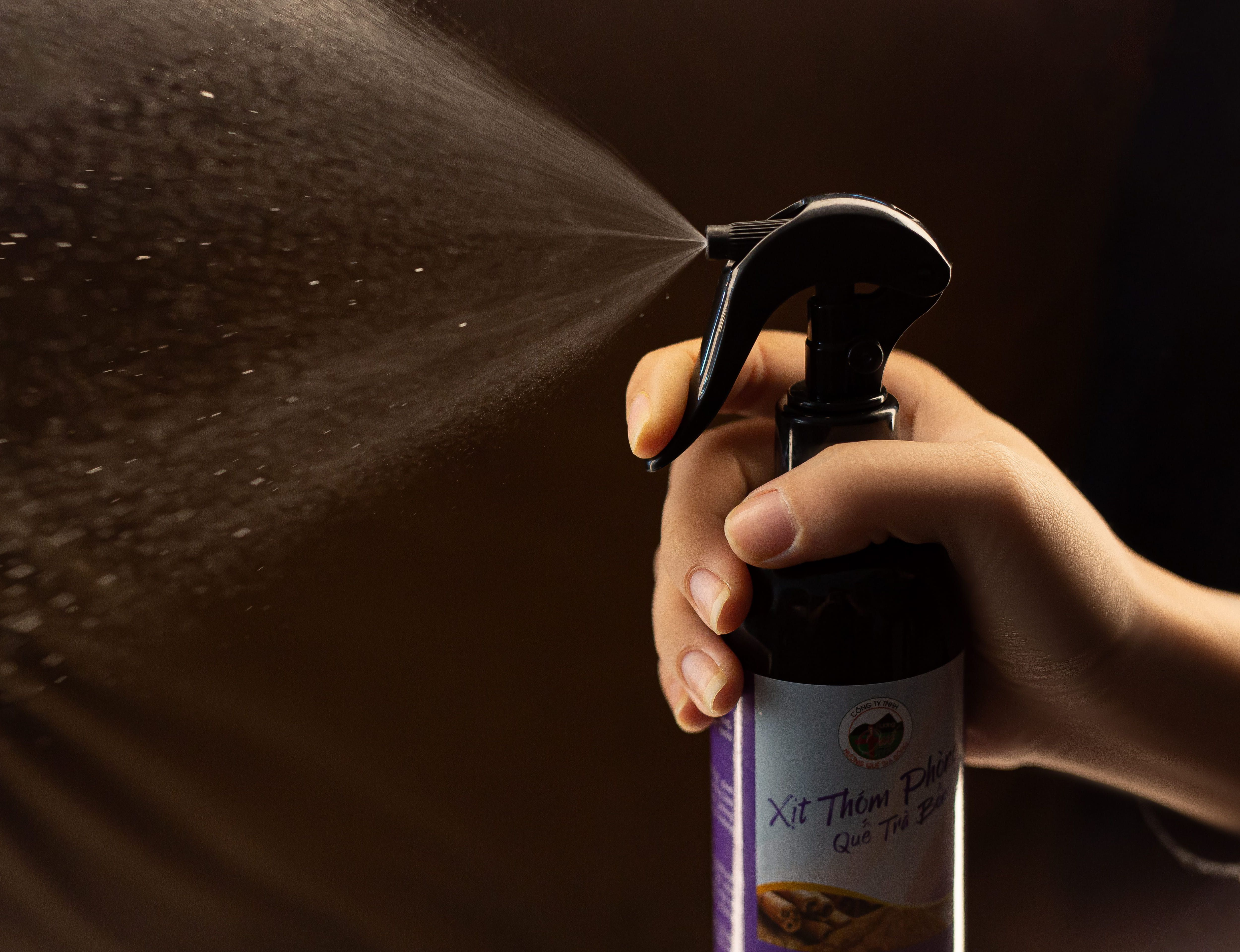 Xịt Thơm Phòng Hương Quế Trà Bồng 300ml