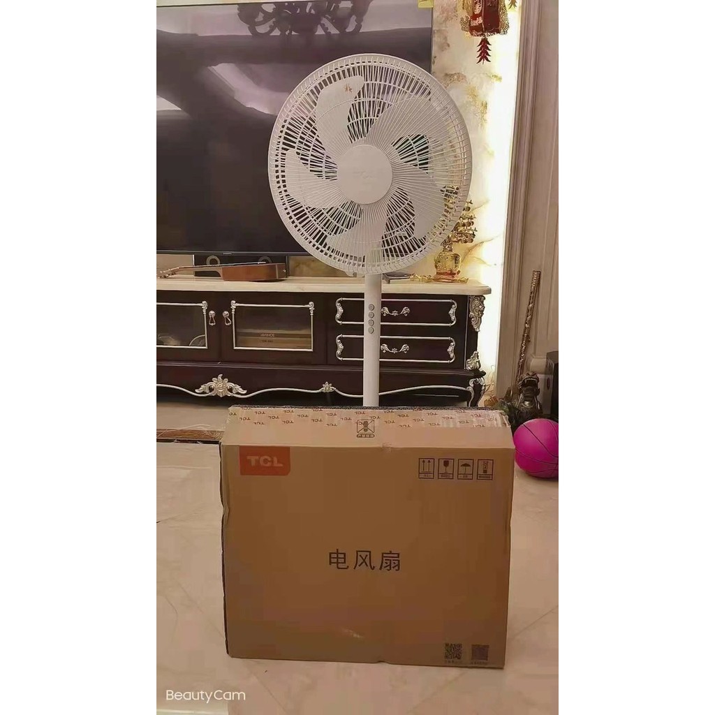 Quạt Cây Đứng Camel. Quạt 5 Cánh cao cấp.