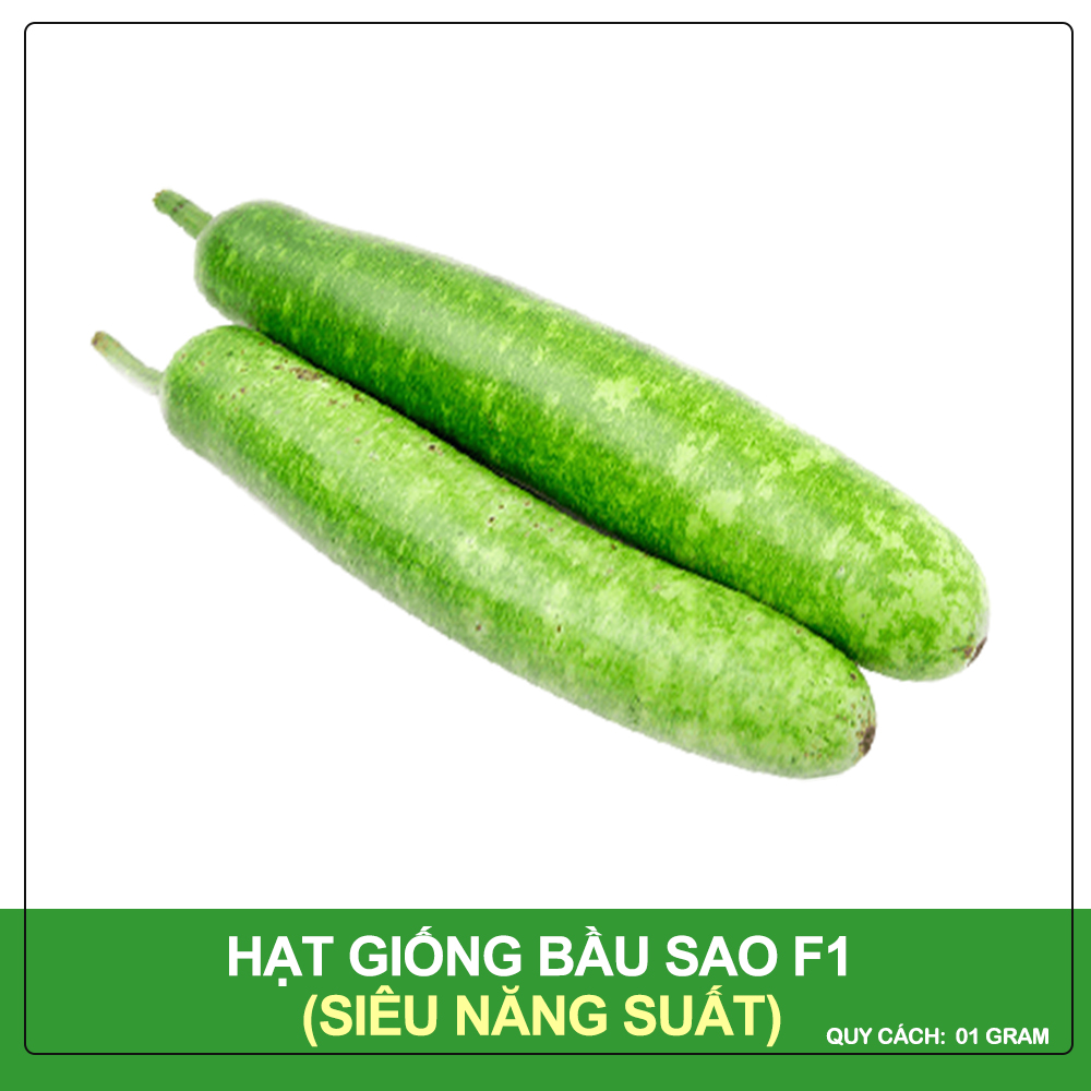 Hạt Giống Bầu Sao Phú Nông Gói 1 Gram