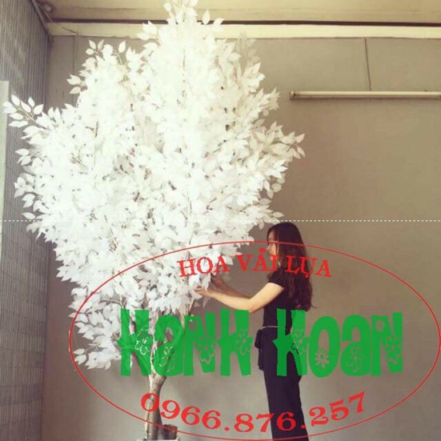 Sỉ bó 10 Cành lá si trắng - Lá giả