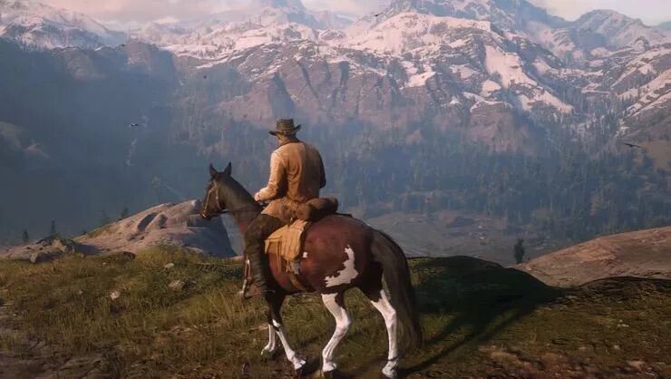 Ps4 Game Disc: Red Dead Redemption 2