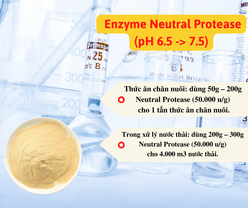 Men ủ phân cá  Neutral  Protease (Men xử lý mùi hôi ủ cá)