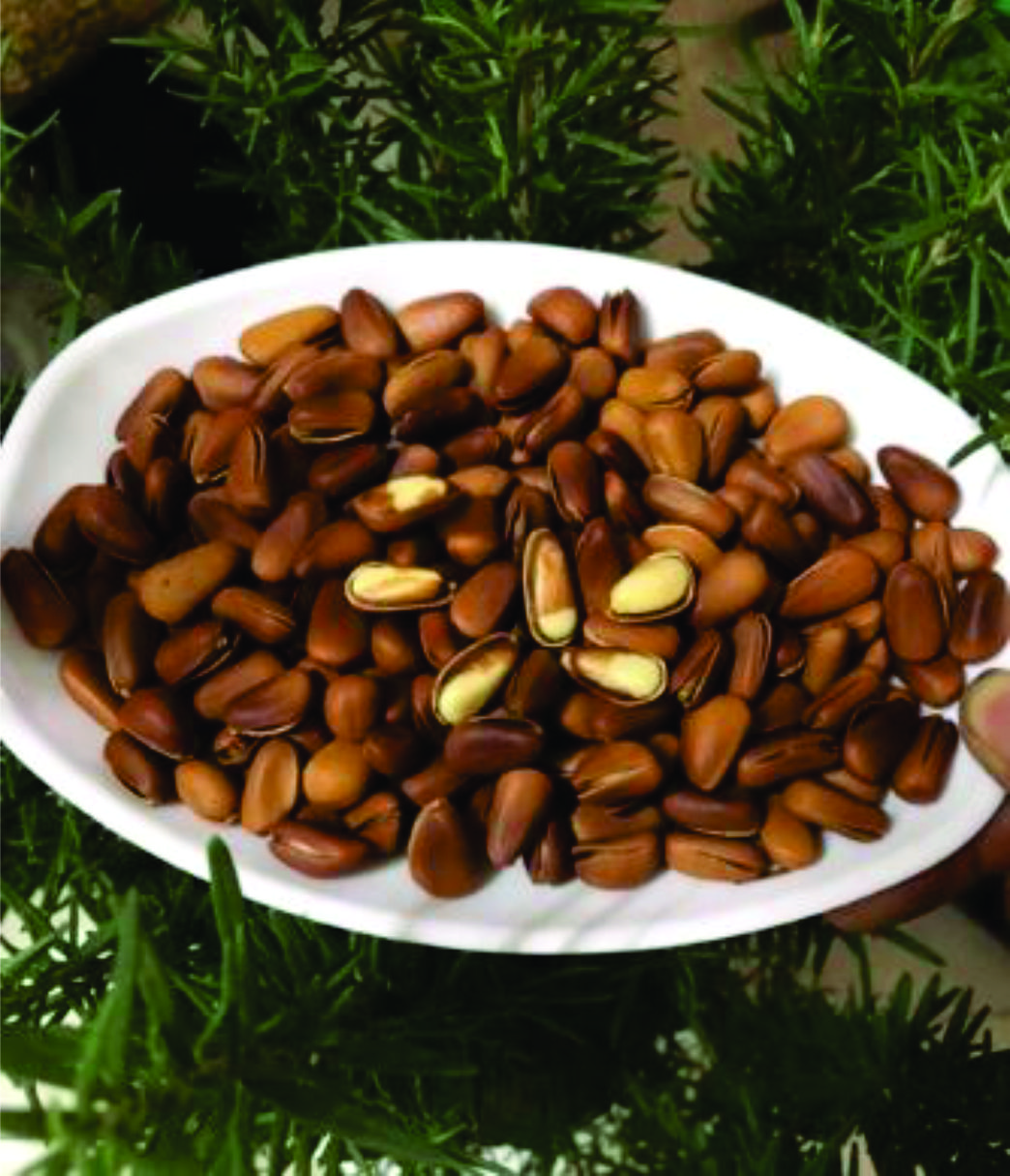Hạt thông Mỹ 500g ngon