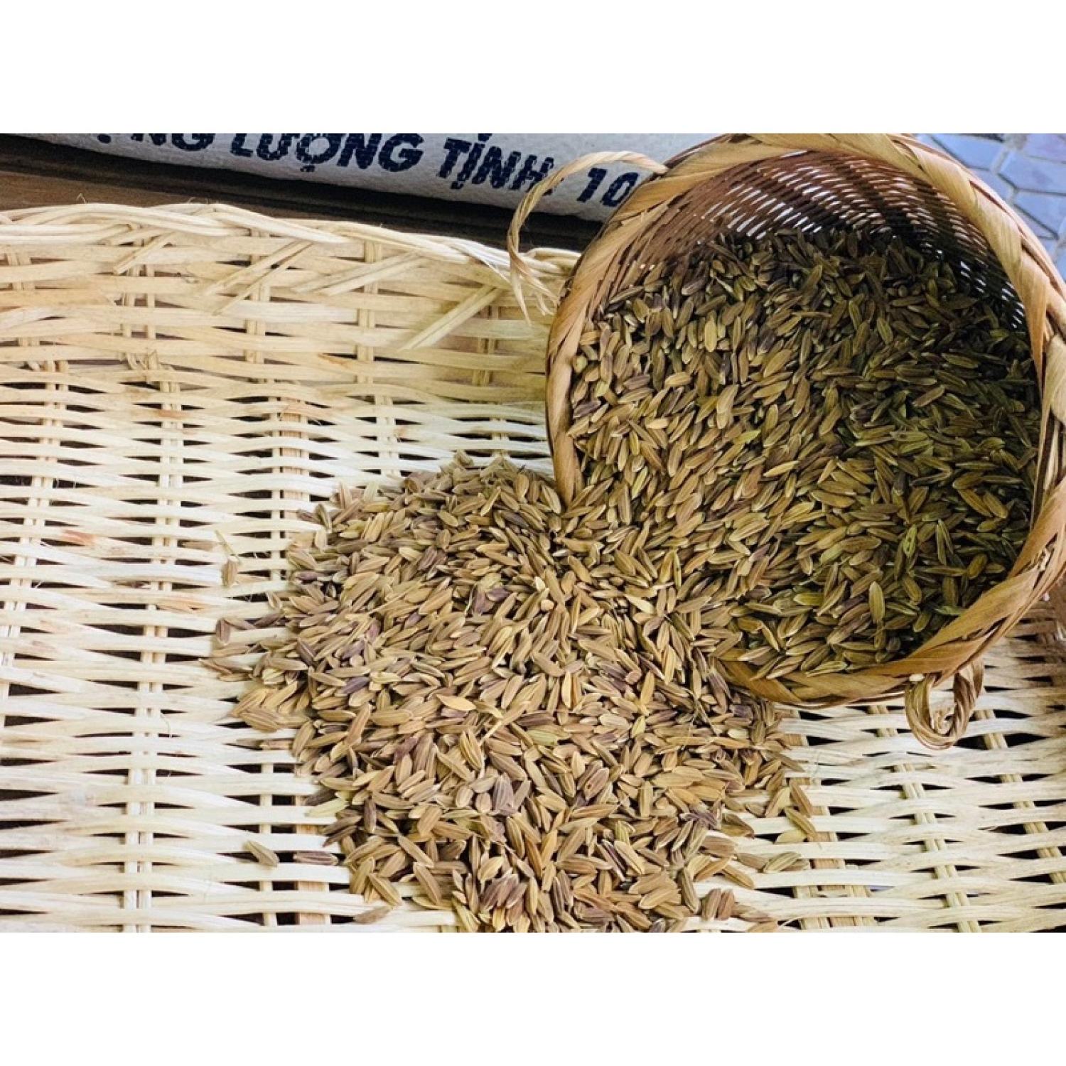 Gạo tẻ nương tím Điện Biên 1kg ( hàng lᴏại 1)
