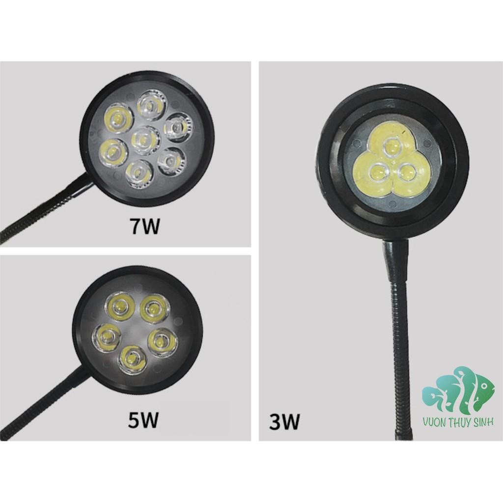 Đèn thuỷ sinh, tiểu cảnh mini đế gỗ 5W