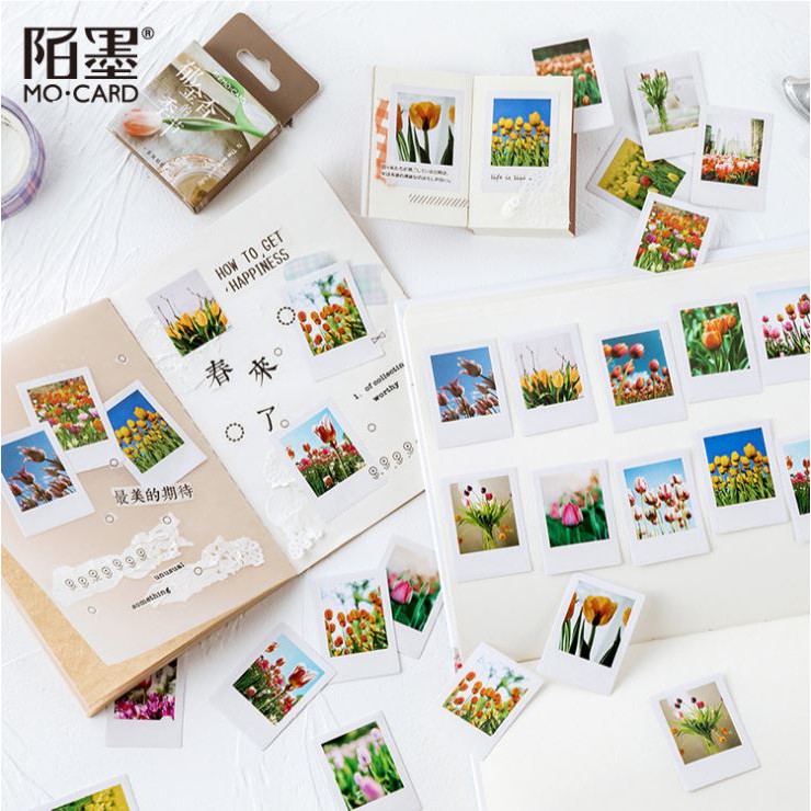 Bộ 46 sticker hoa tulip hà lan e57