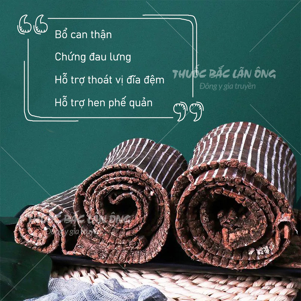 Đỗ trọng bắc 100g, miếng to, dập sợi đẹp, khô, thơm - Lãn Ông