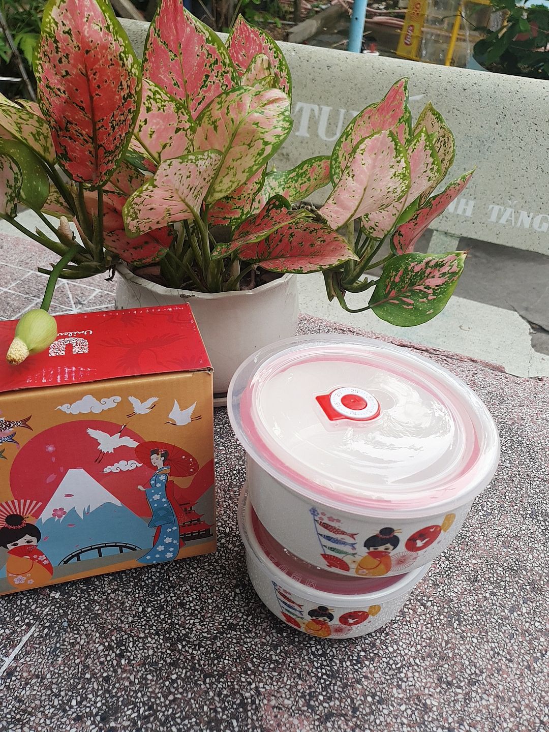 THỐ SỨ CÓ NẮP HÚT CHÂN KHÔNG. 2tho