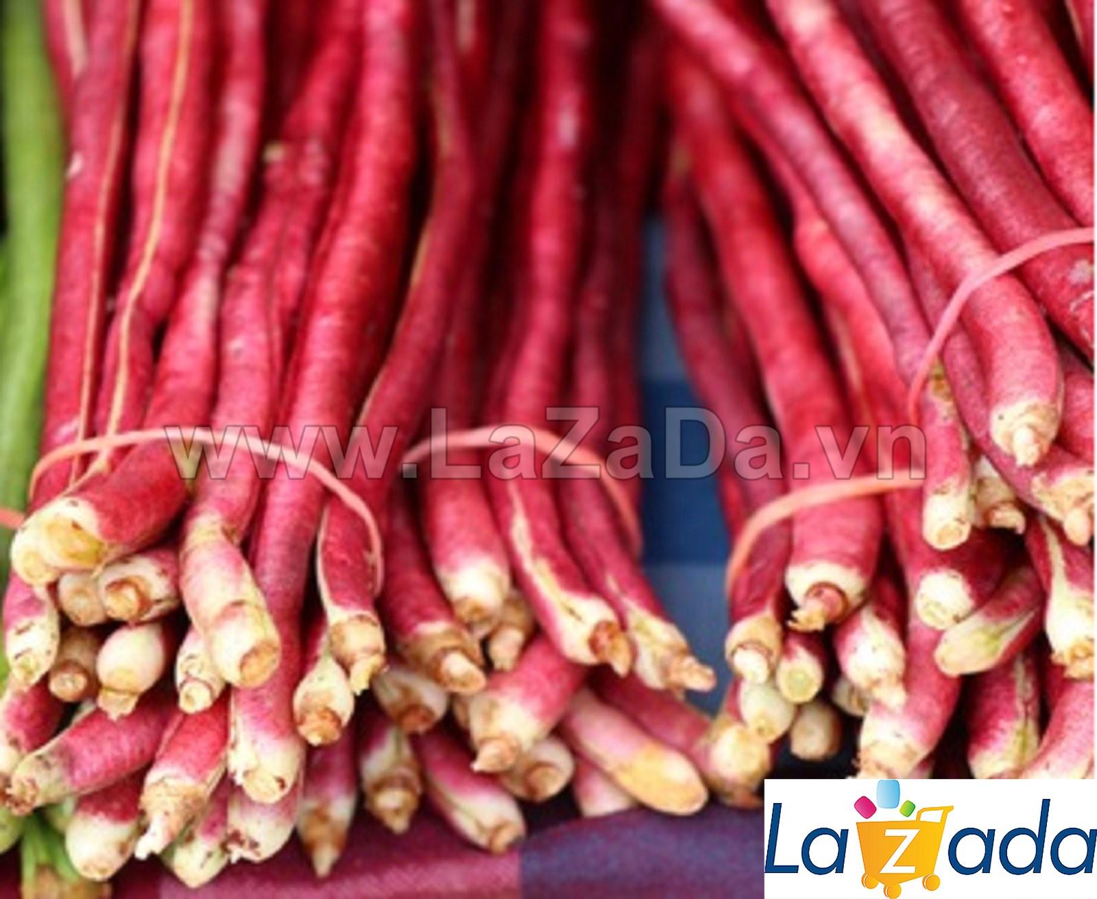 2gr hạt giống đậu đũa đỏ
