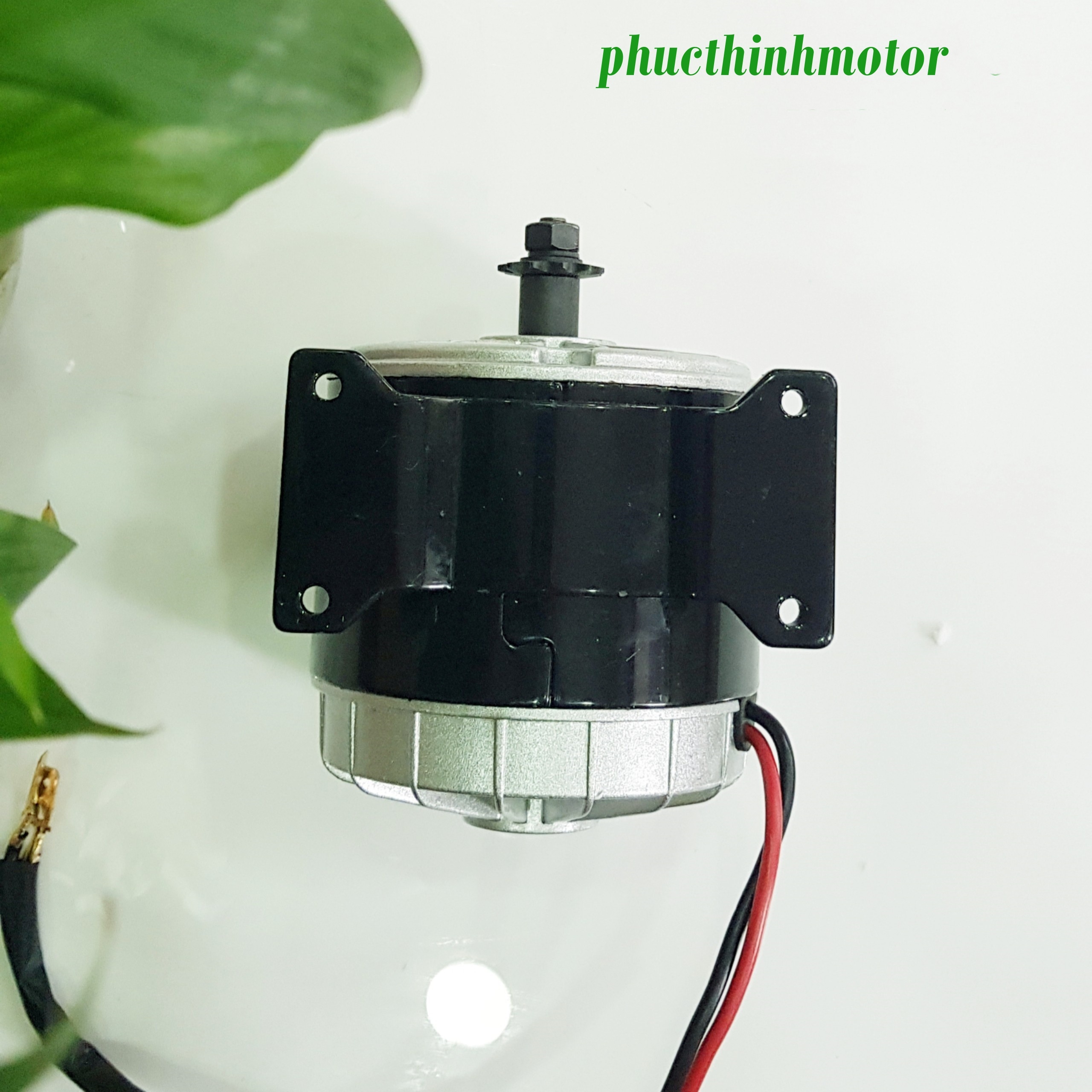 Động cơ 24v350w không giảm tốc